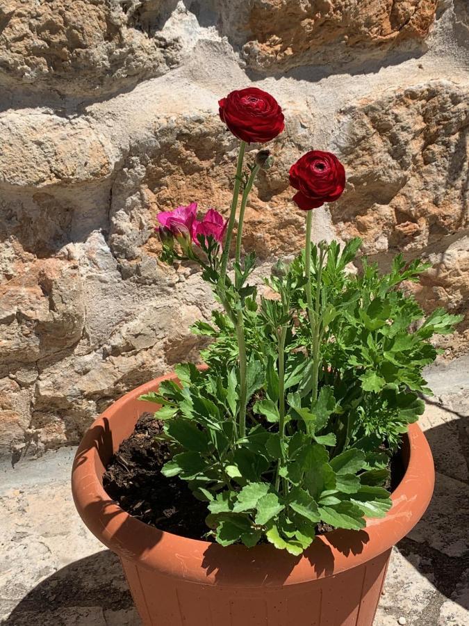 Guesthouse Libertas 1 Dubrovnik Kültér fotó